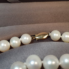 Load image into Gallery viewer, Large Freshwater Pearl Set, 14K Gold clasp