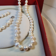 Load image into Gallery viewer, Freshwater pearl Silk strand Set, Sterling Silver