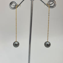 Load image into Gallery viewer, Tahitian Pearl Earrings, Yellow Gold