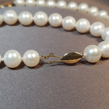 Load image into Gallery viewer, Large Freshwater Pearl Set, 14K Gold clasp
