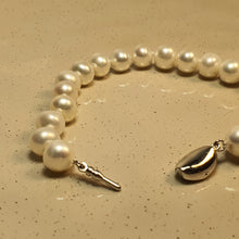 Load image into Gallery viewer, Semi-Round Freshwater Cultured Pearl Bracelet, Sterling Silver
