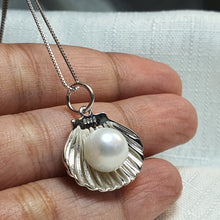 Load image into Gallery viewer, Freshwater Pearl Shell Necklace, Sterling Silver

