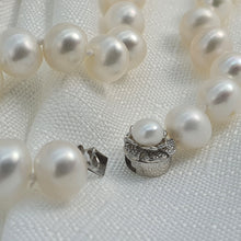 Load image into Gallery viewer, Freshwater Pearl Bracelet, Sterling Silver
