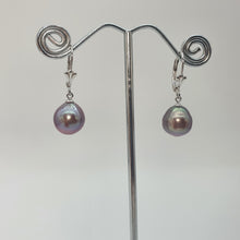 Load image into Gallery viewer, Edison Baroque Pearl Antique Hook Earrings, Sterling Silver

